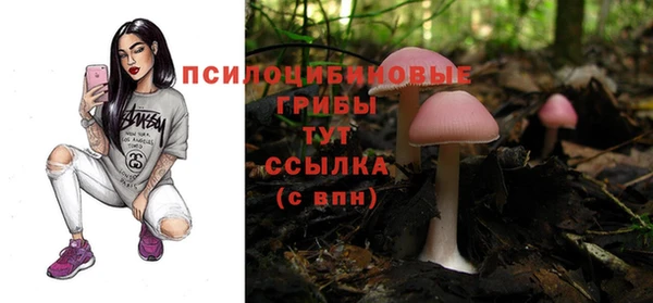 2c-b Абдулино
