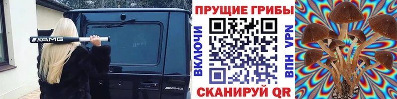 Псилоцибиновые грибы ЛСД  Ак-Довурак 